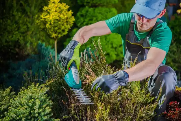 landscaping services Memphis